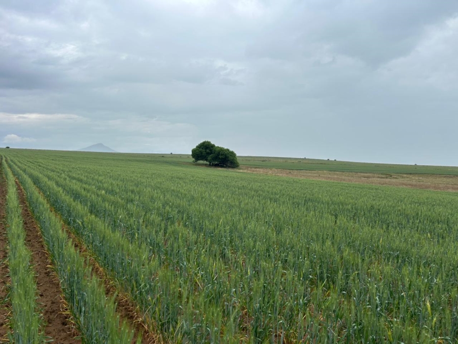 Commercial Property for Sale in Zastron Rural Free State